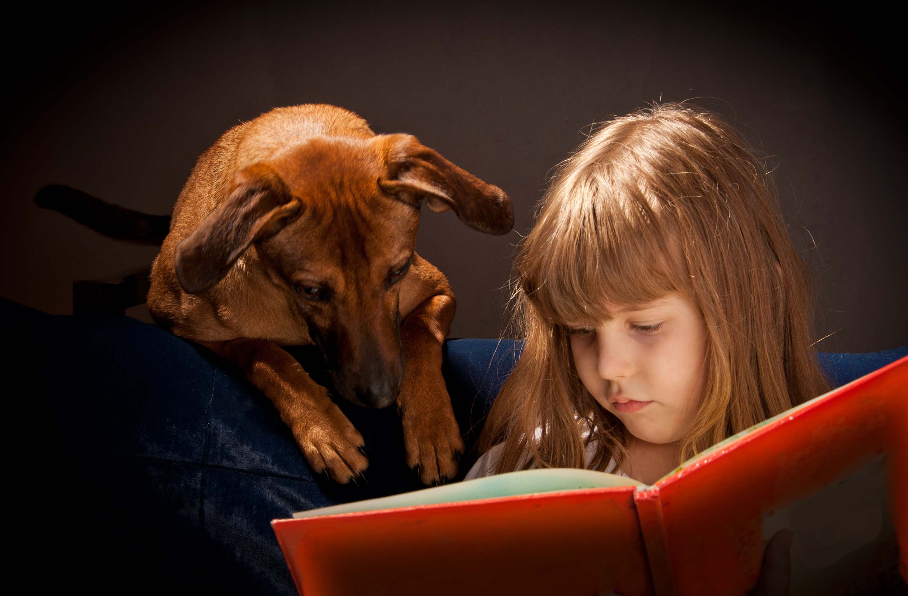 Child,And,Dog,,Socializing,And,Learning